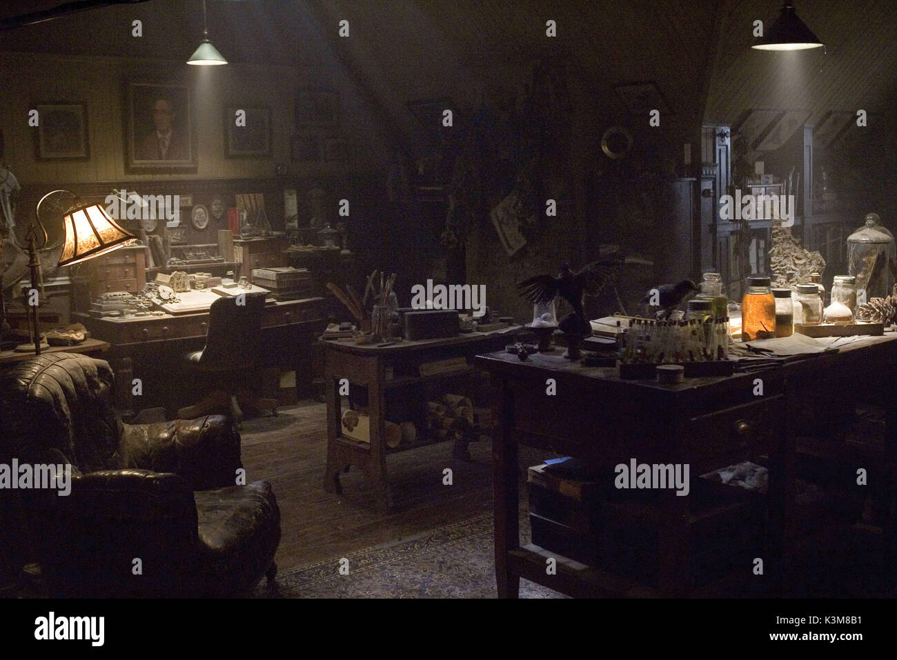 SPIDERWICK - Le cronache Spiderwick - Le cronache data: 2008 Foto Stock