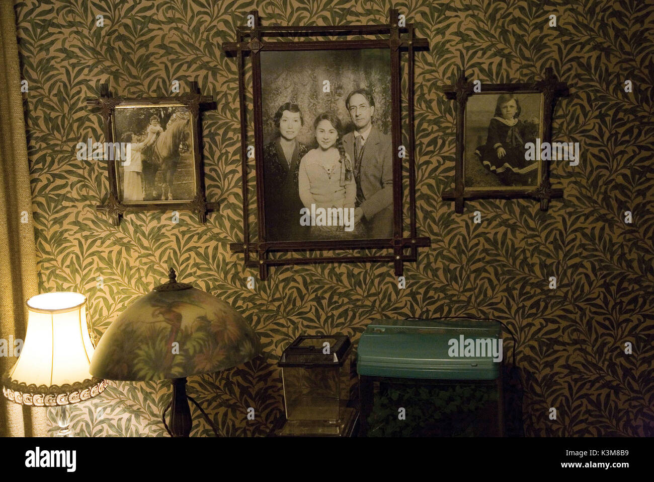 SPIDERWICK - Le cronache Spiderwick - Le cronache data: 2008 Foto Stock