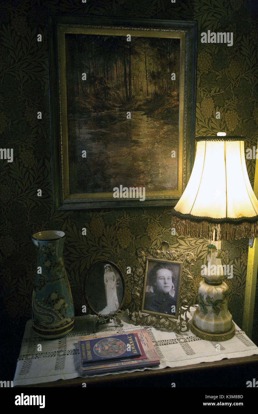 SPIDERWICK - Le cronache Spiderwick - Le cronache data: 2008 Foto Stock