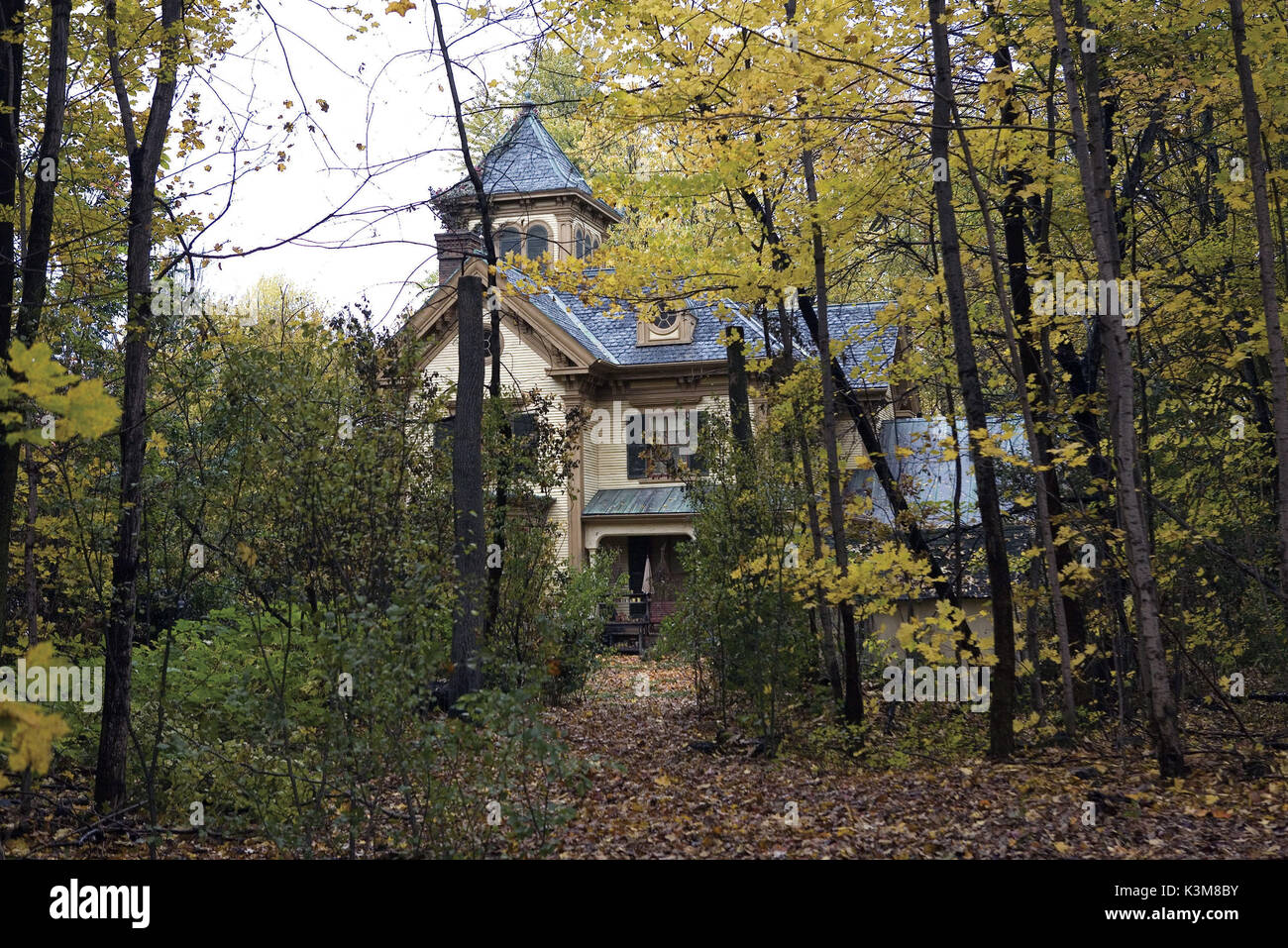 SPIDERWICK - Le cronache Spiderwick - Le cronache data: 2008 Foto Stock