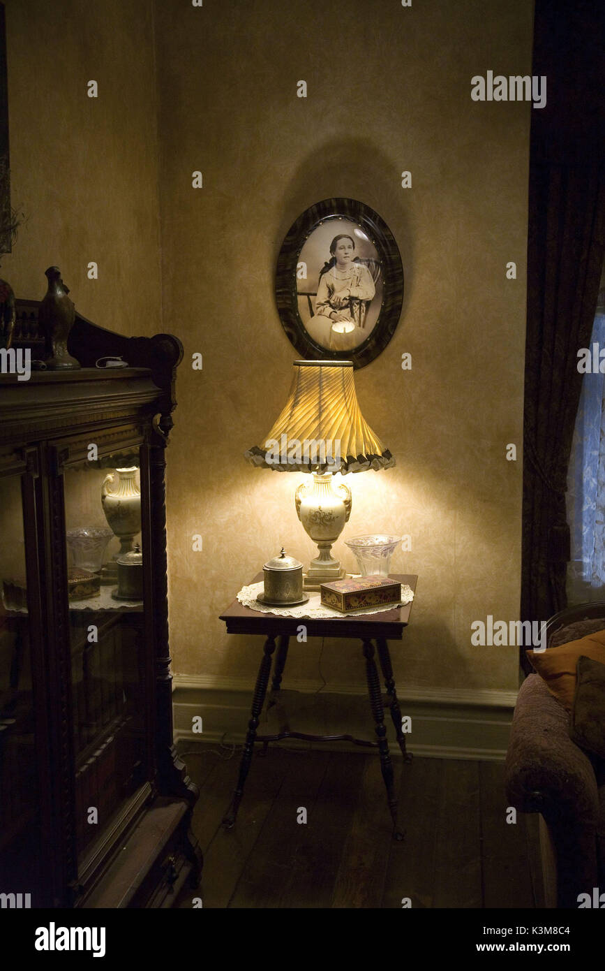 SPIDERWICK - Le cronache Spiderwick - Le cronache data: 2008 Foto Stock