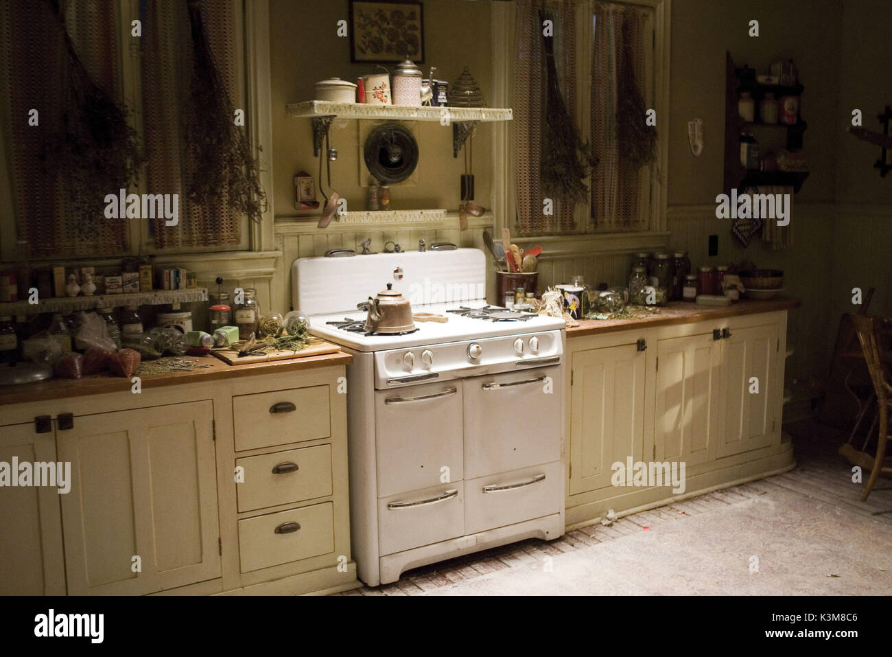 SPIDERWICK - Le cronache Spiderwick - Le cronache data: 2008 Foto Stock