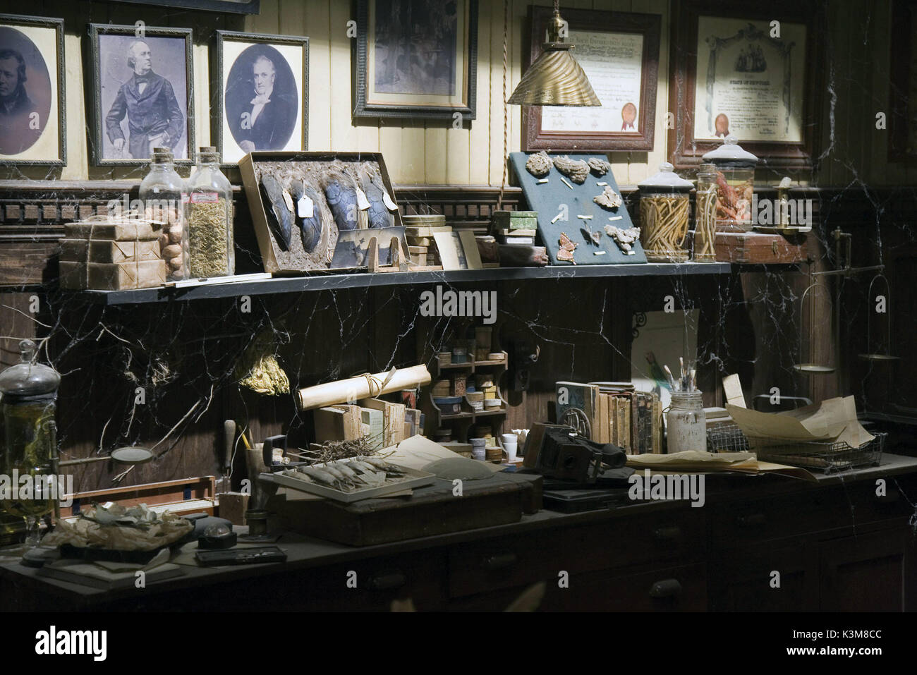 SPIDERWICK - Le cronache Spiderwick - Le cronache data: 2008 Foto Stock