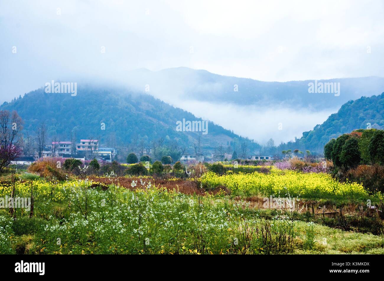 La colorata campagna scenario nella nebbia Foto Stock
