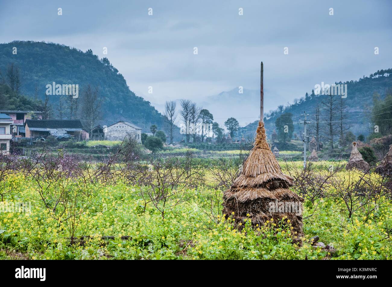 La colorata campagna scenario nella nebbia Foto Stock
