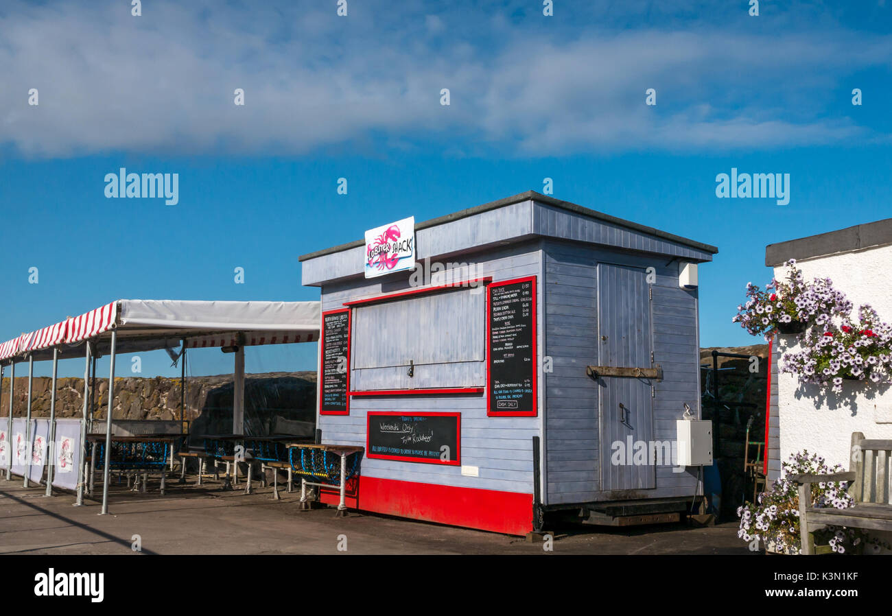 Il Lobster Shack, chiuso, North Berwick Harbour, East Lothian, Scozia, con posti a sedere esterni su harbourside sulla giornata di sole Foto Stock