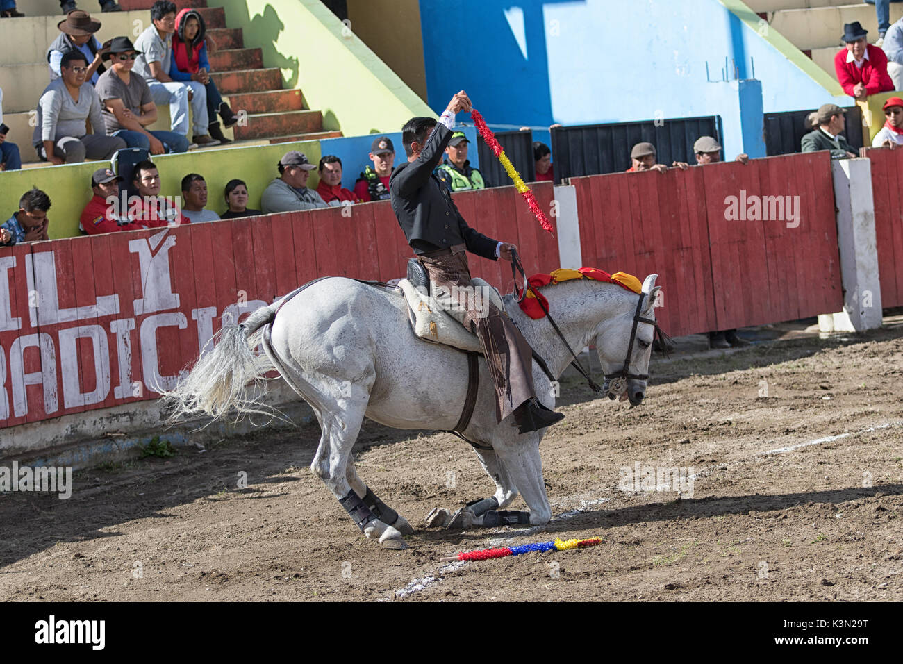 Giugno 18, 2017, Pujili, Ecuador: torero nell'arena porta il cavallo è alle sue ginocchia come un omaggio per gli spettatori Foto Stock