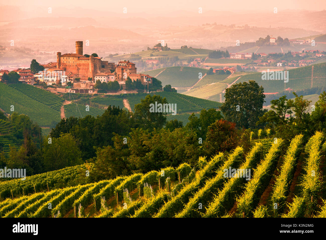 L'Italia, Piemonte, cuneese Langhe - estate a Castiglione Falletto Foto Stock