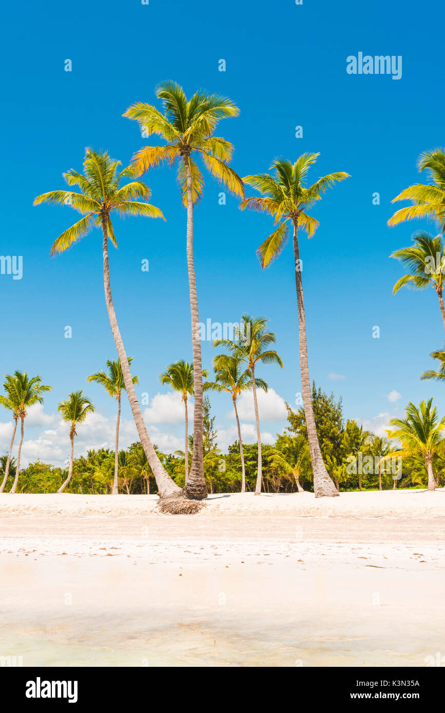 Spiaggia Juanillo (playa Juanillo), Punta Cana, Repubblica Dominicana. Foto Stock