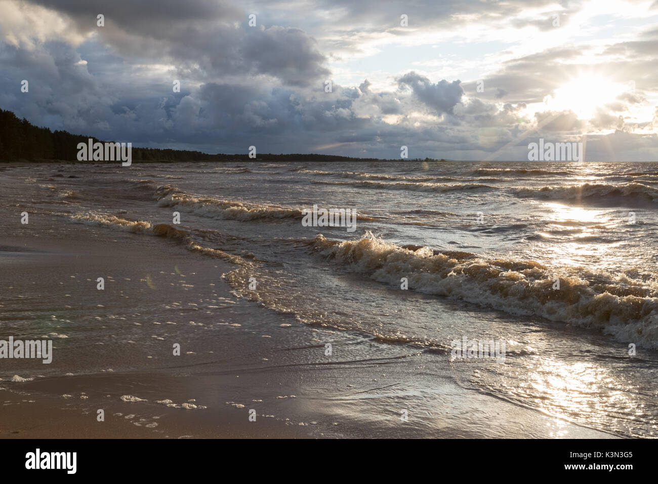 Wild beach. Mar Baltico. Il Golfo di Finlandia e Russia Foto Stock