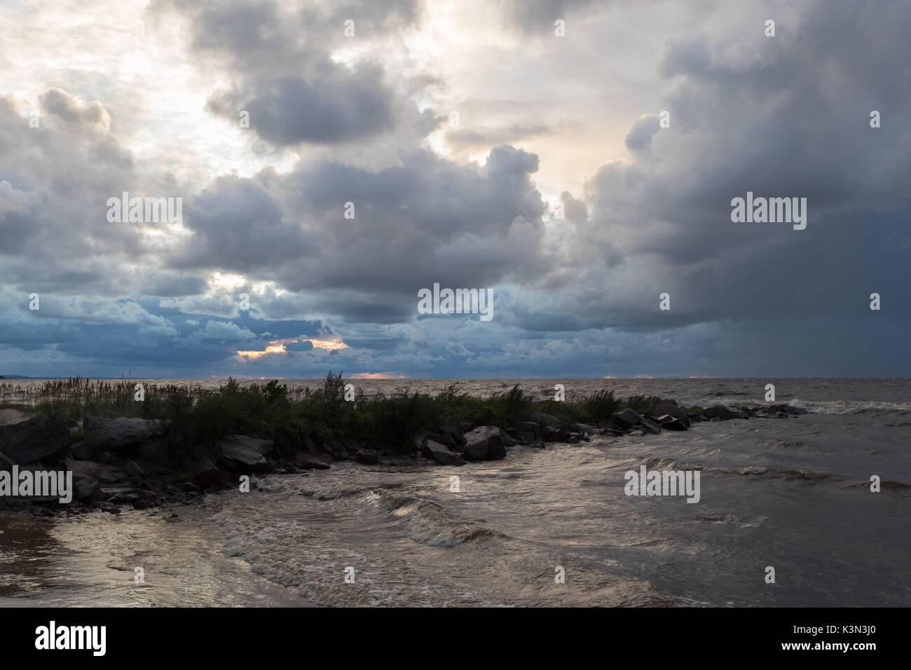 Wild beach. Mar Baltico. Il Golfo di Finlandia e Russia Foto Stock