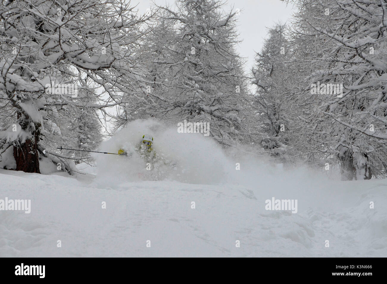 Freeride sky con un sacco di neve,(faceshot),Prali, Piemonte, Italia Foto Stock