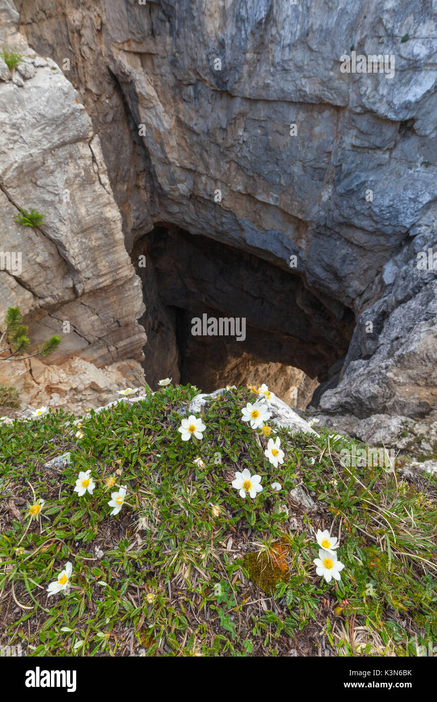 Europa, Nord Italia, Veneto, Belluno, Monti del Sole, Dolomiti. Il Bus de le Neole (foro di nuvole) Foto Stock