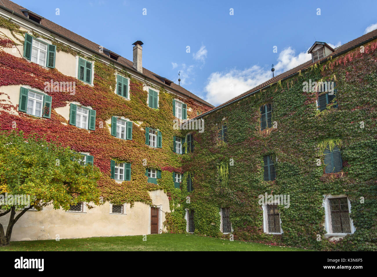 L'Europa, Italia, Alto Adige, Bolzano. Parete ricoperta con piante rampicanti all'interno dell'abbazia di Novacella. Foto Stock
