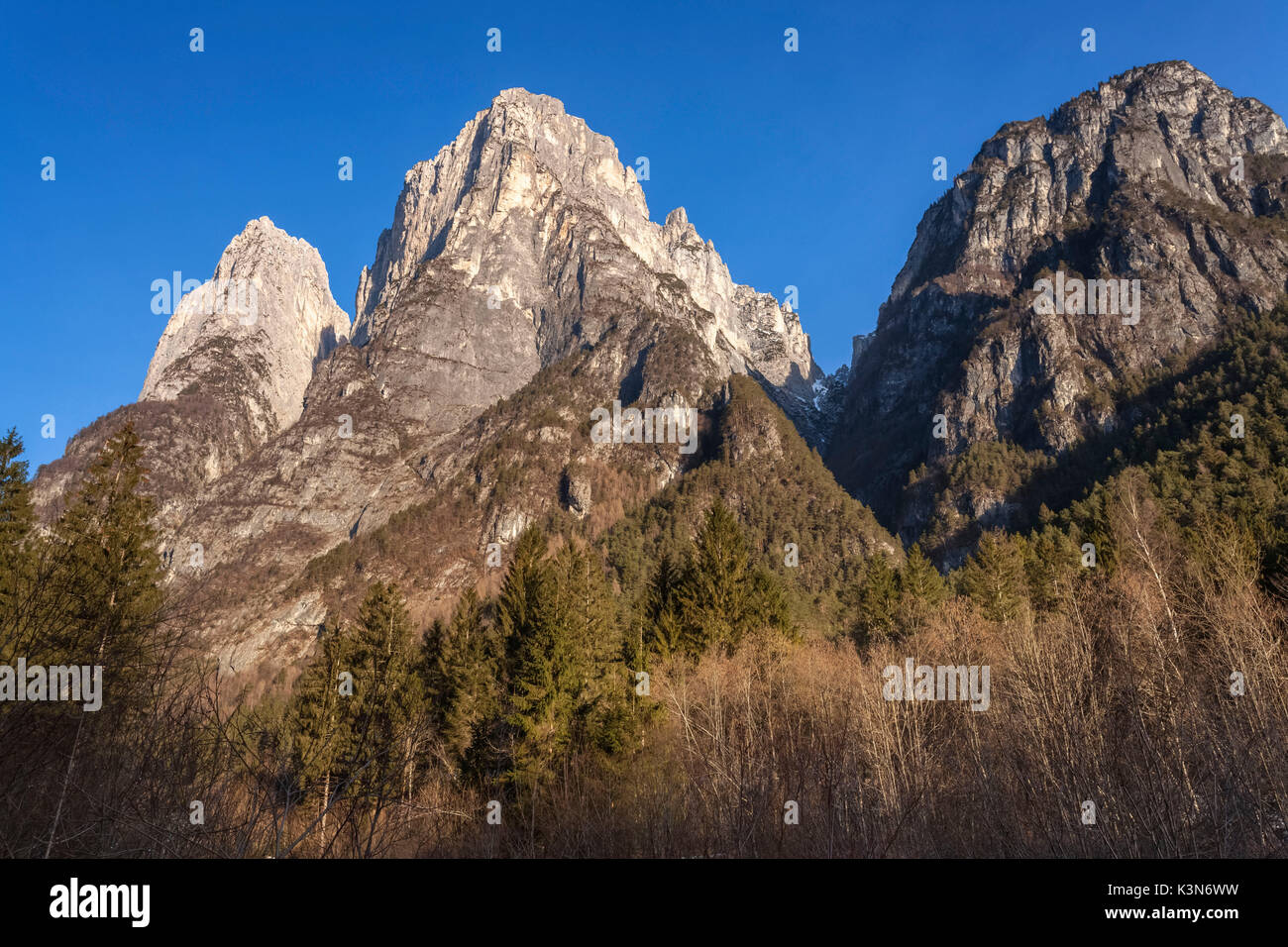 L'Europa, Italia, Veneto, Belluno. Pale di San Lucano, Agordino, Dolomiti. In dettaglio da destra la prima, la seconda e la terza pala. Tra la prima e la seconda pala è in evidenza il Boral de la Besausega. Foto Stock