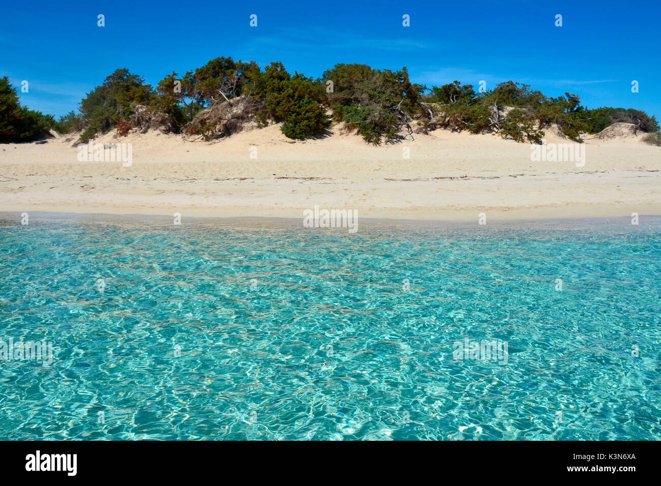 Acqua trasparente sulla spiaggia di dune (vicino a Porto Cesareo), il Salento,provincia di Lecce, Puglia, Italia, Europa Foto Stock
