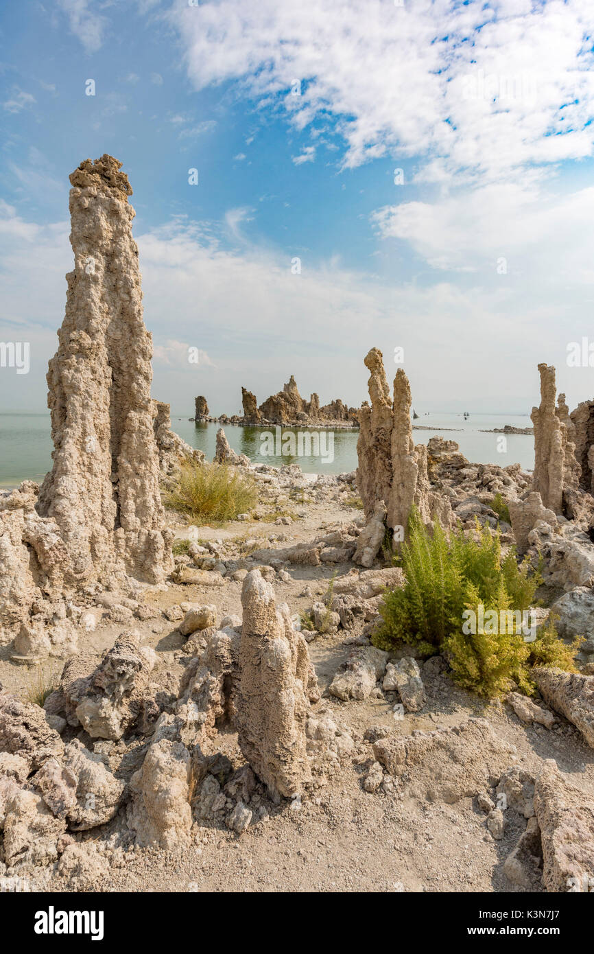 Torri di tufo a lago Mono, Mono County, California, Stati Uniti d'America. Foto Stock