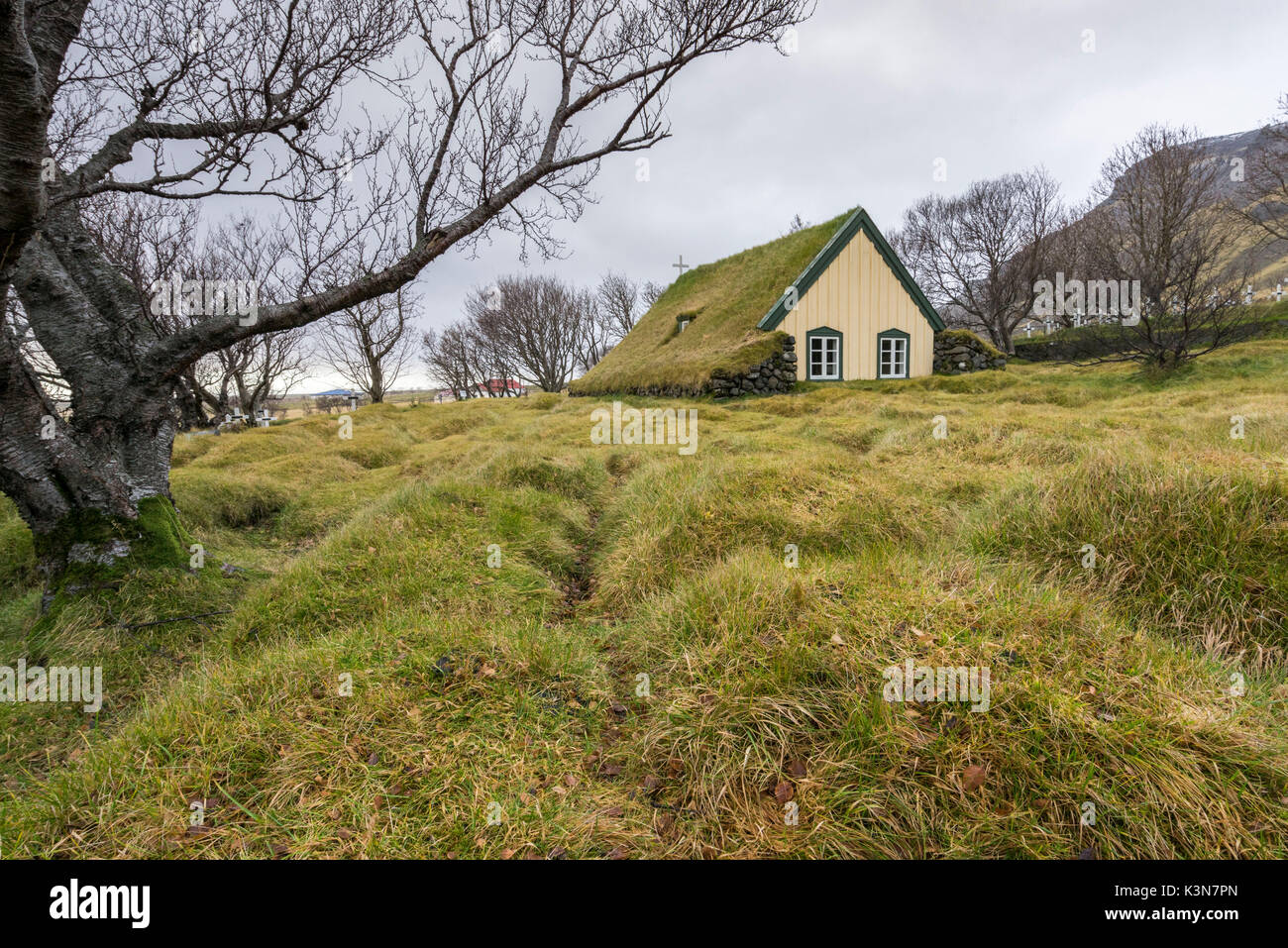 Tipica casa di tappeto erboso, 'torfbaeir' in islandese. L'Islanda, Europa Foto Stock