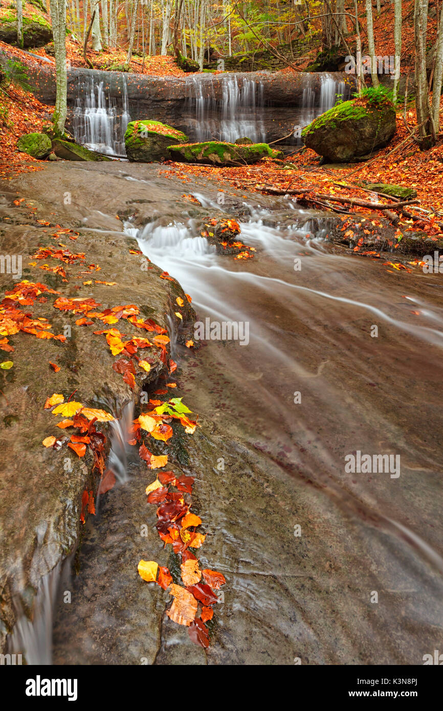 Foreste Casentinesi, appennino Toscano, Italia. Una cascata nel parco nazionale in autunno Foto Stock