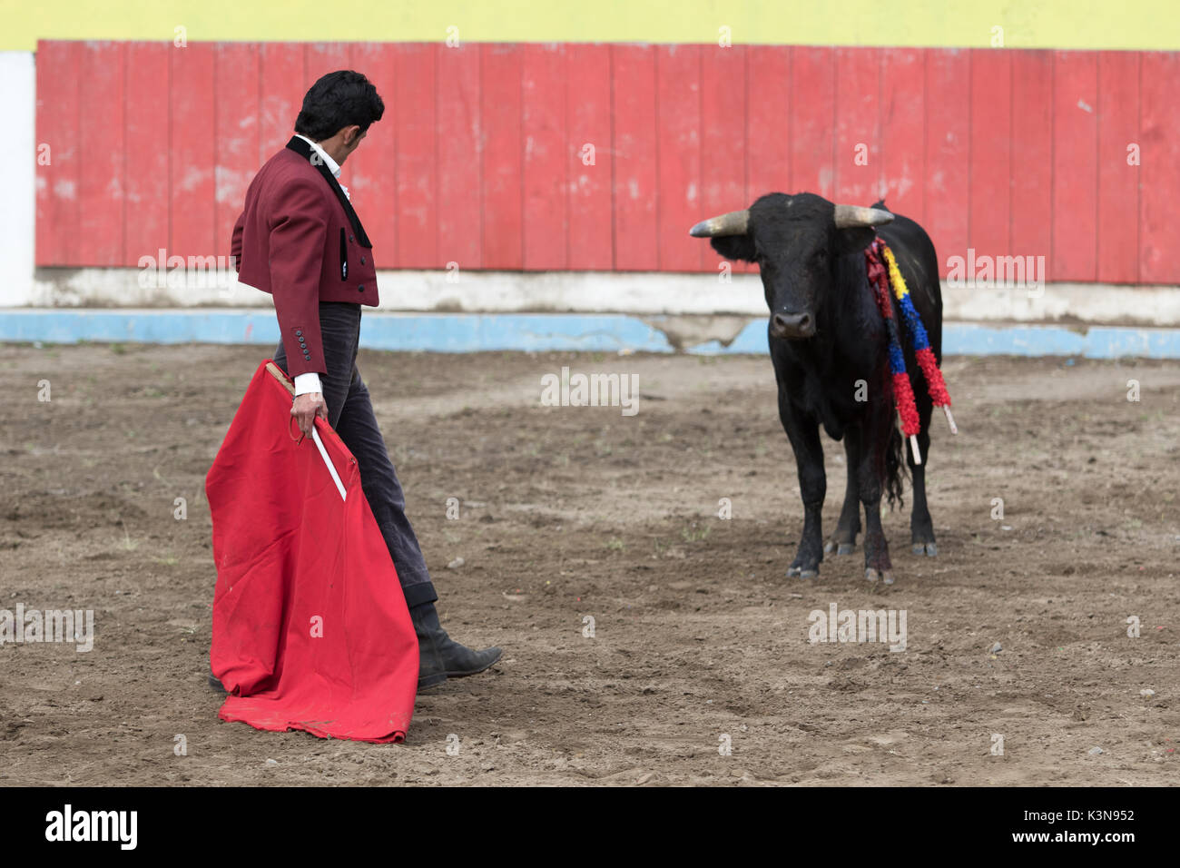 Giugno 18, 2017 Pujili, Ecuador: torero stnads di fronte di Bull in una via impegnativa in arena Foto Stock