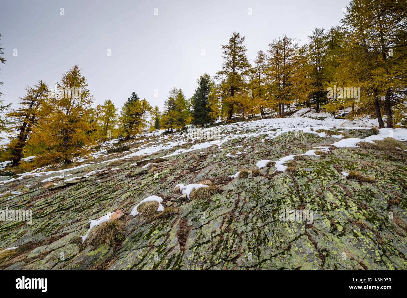 Valsavarenche, Valle d'Aosta, Alpi Italiane Foto Stock