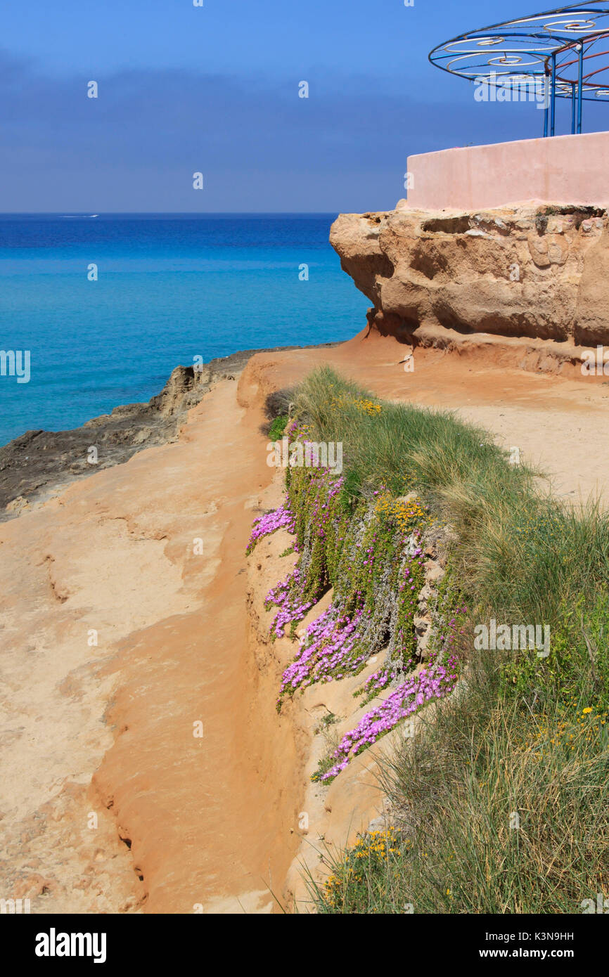 Spiaggia di Cala Comte in Ibiza, Spagna Foto Stock