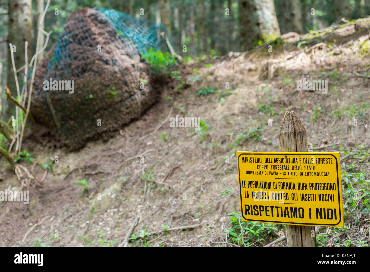 Rufa ant nest con un cartello che spiega il suo aiuto in legno di uccidere i parassiti, Foreste Casentinesi NP, Emilia Romagna distretto, Italia Foto Stock