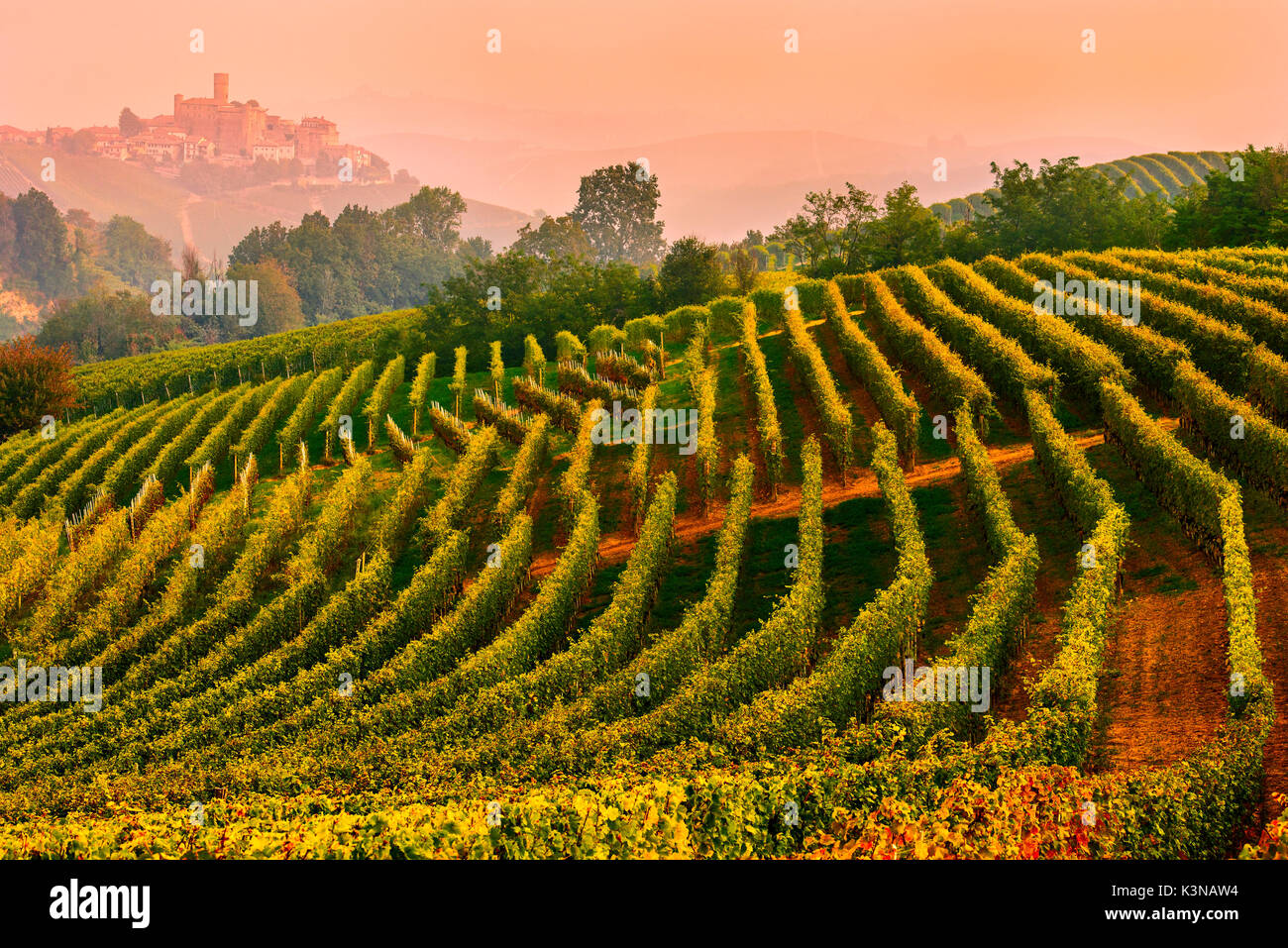 Italia, Piemonte,cuneese Langhe, i vigneti e il castello di Castiglione Falletto Foto Stock