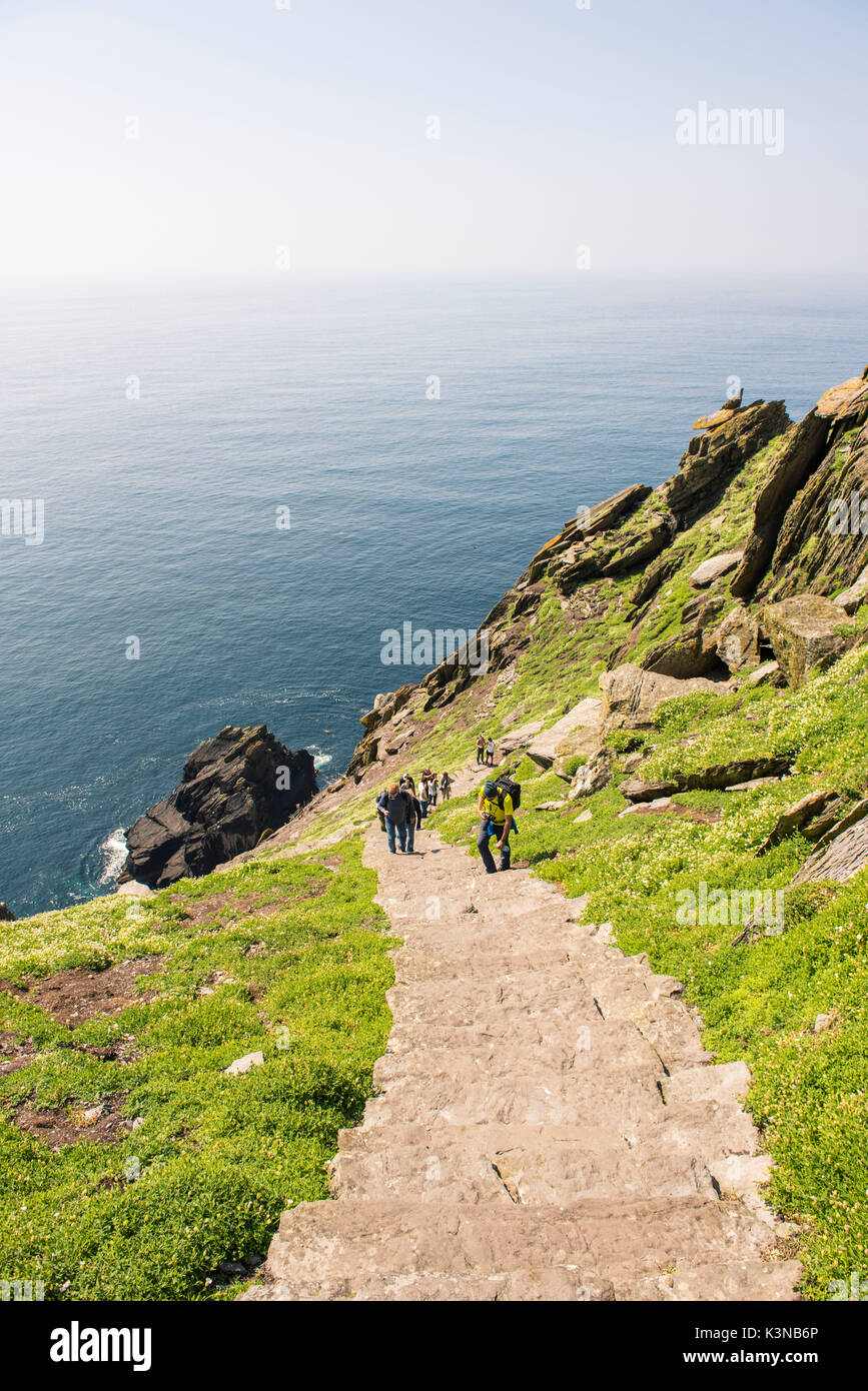 Skellig Michael (grande Skellig), Isole Skellig, nella contea di Kerry, provincia di Munster, Irlanda, Europa. I turisti salite le scale che portano al monastero. Foto Stock