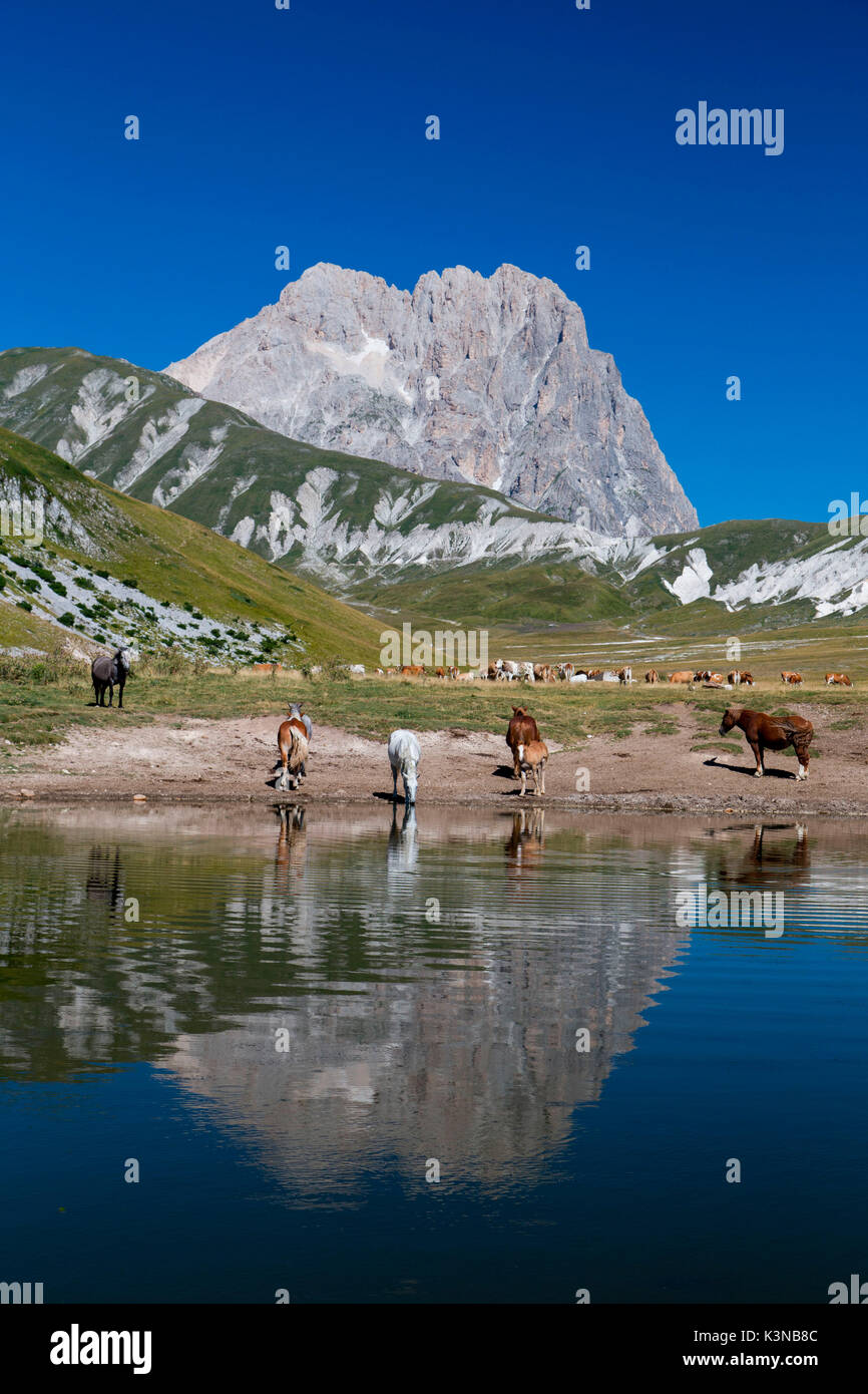 L'Europa, Italia, Abruzzo. Gran Sasso e Monti della Laga Parco Nazionale Foto Stock