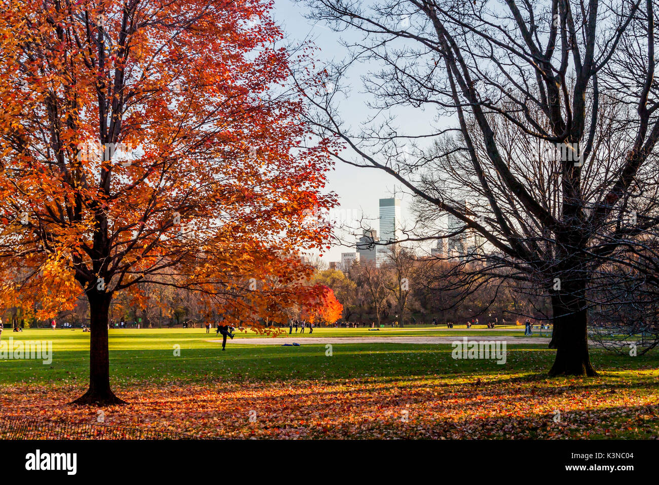 Il Central Park di New York City, Stati Uniti d'America Foto Stock