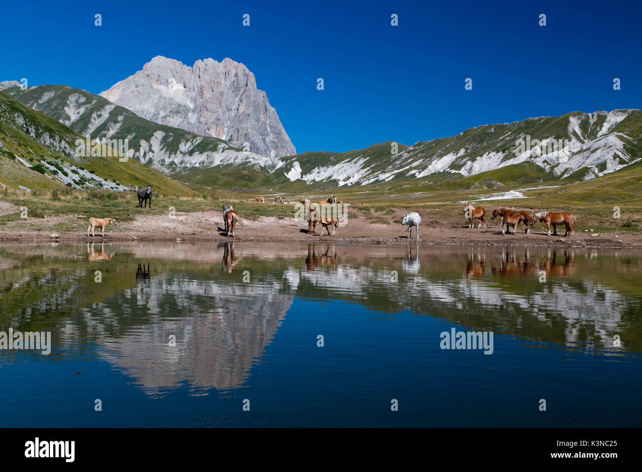 L'Europa, Italia, Abruzzo. Gran Sasso e Monti della Laga Parco Nazionale Foto Stock
