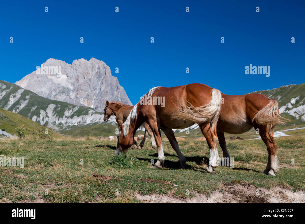 L'Europa, Italia, Abruzzo. Gran Sasso e Monti della Laga Parco Nazionale Foto Stock