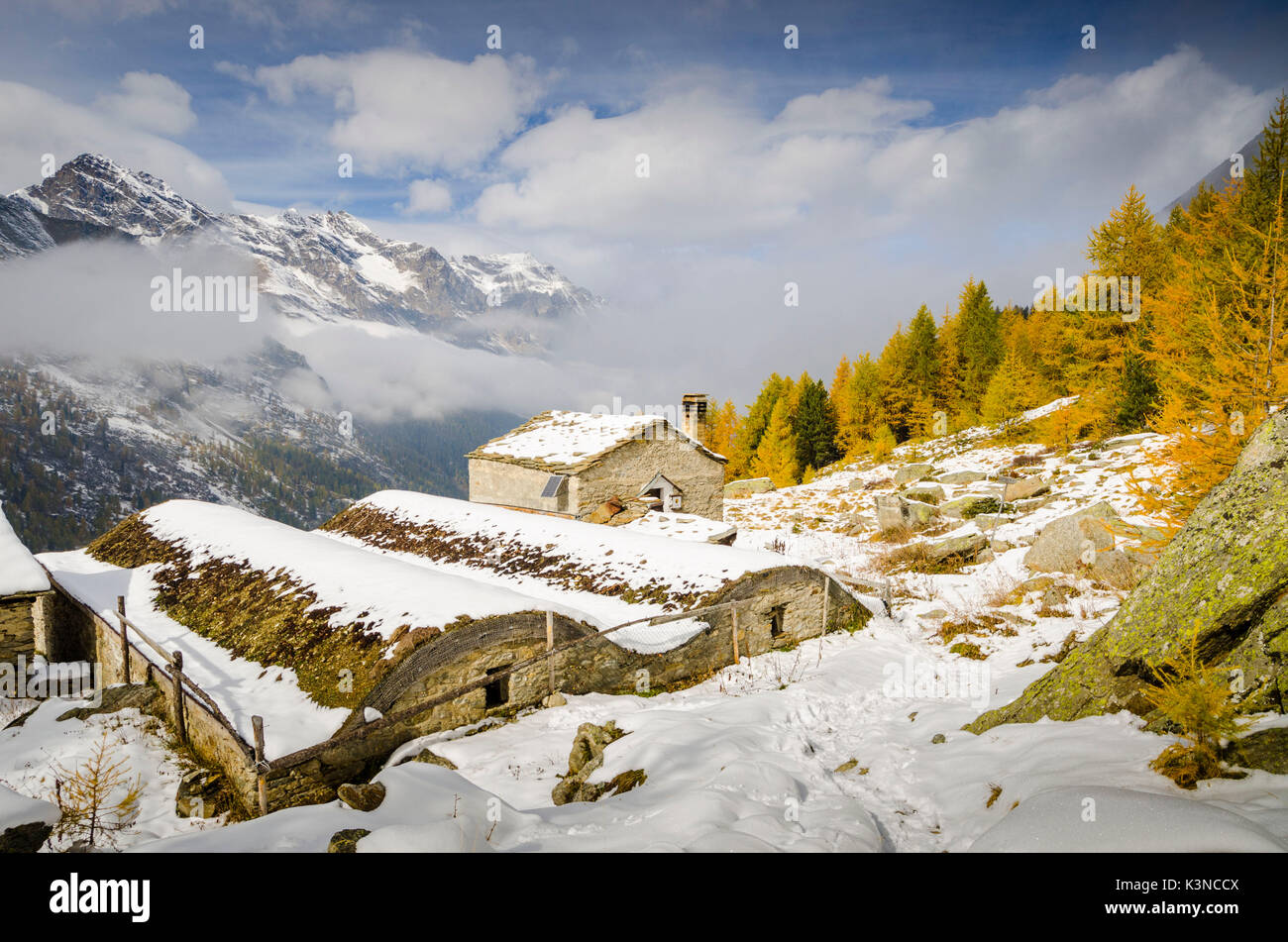 Alpe Lavassey (Valsavarenche, Valle d'Aosta, alpi italiane) Foto Stock