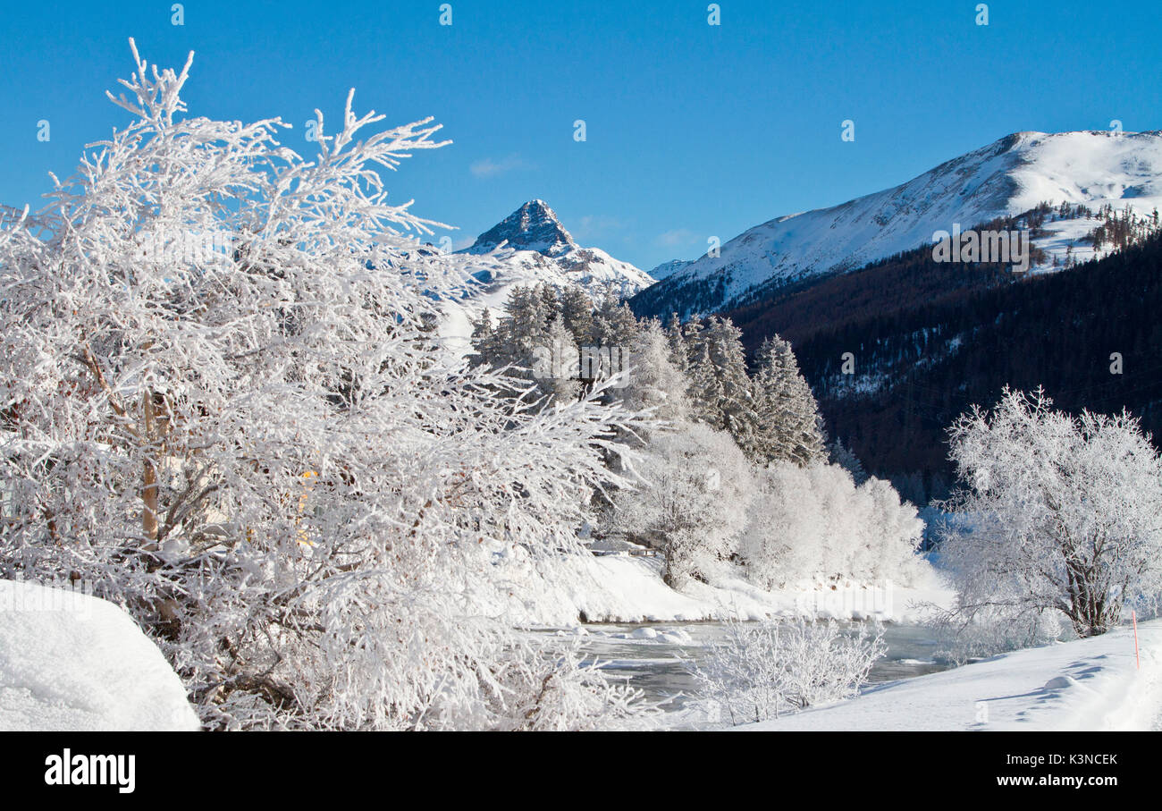 Paesaggio invernale lungo un fiume in Engadina - Svizzera con impianti di ghiaccio Foto Stock