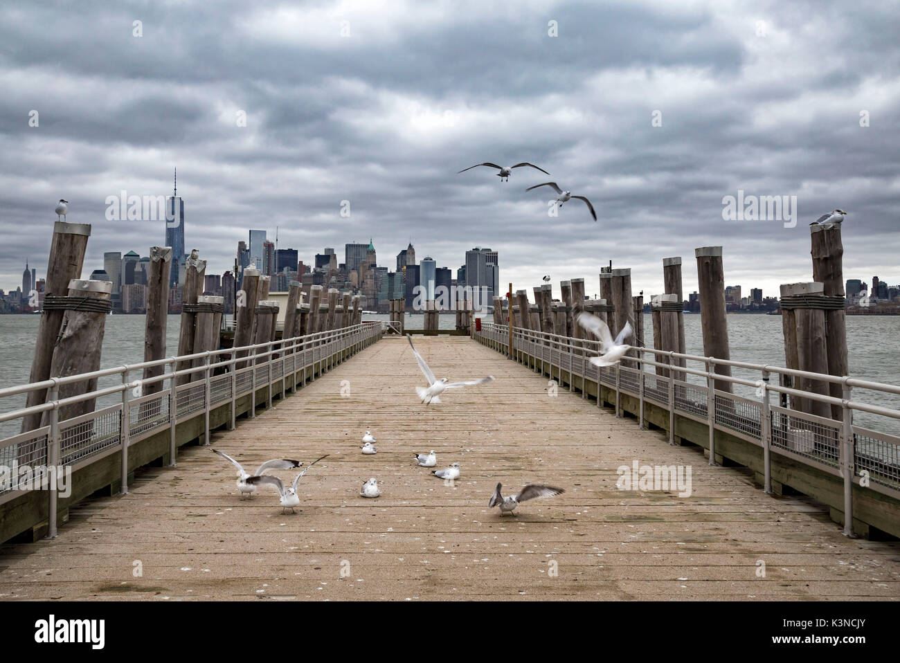 Inferiore dello skyline di Manhattan (Liberty Island, New York New York, Stati Uniti d'America) Foto Stock
