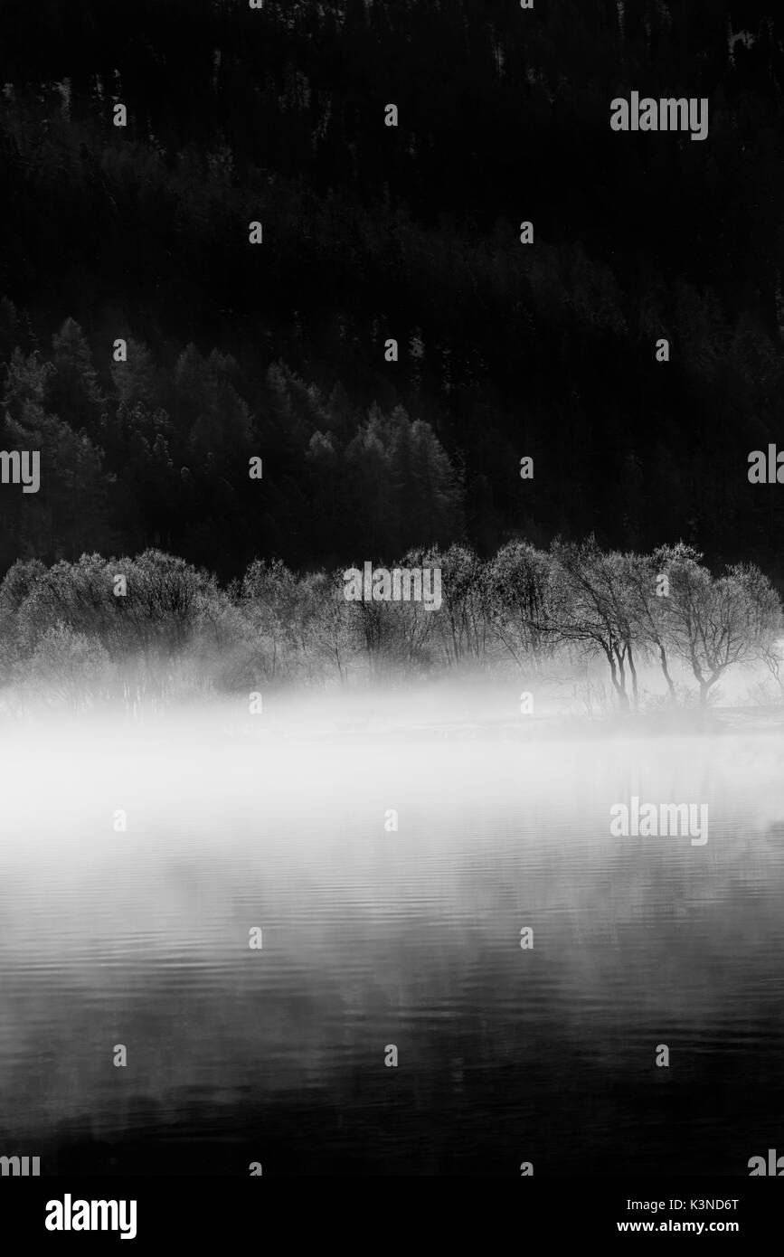 Il lago di Silvaplana,San Moritz Svizzera ripresa in bianco e nero della nebbia matutina sul lago di Silvaplana Foto Stock