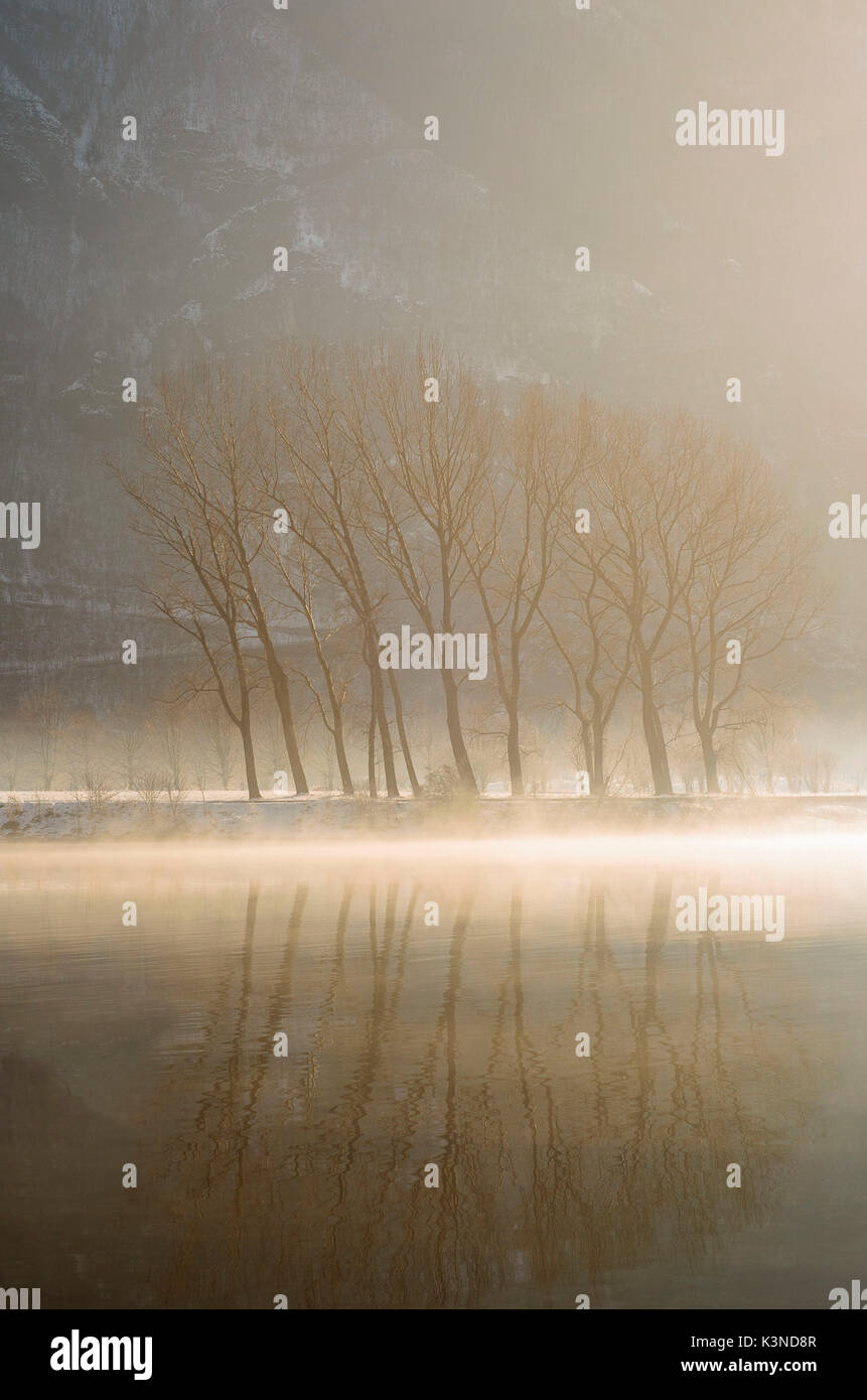 Lago Ido,Brescia,Lombardia,Italia un gruppo di alberi nella nebbia, preso all'alba sul lago d'Idro Foto Stock