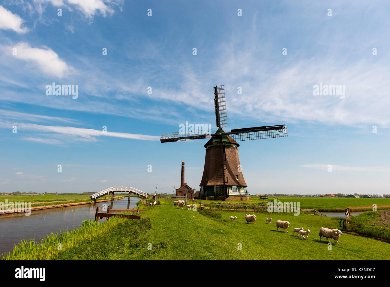 Lisse, Paesi Bassi Mill fotografato a nord di Amsterdam Foto Stock