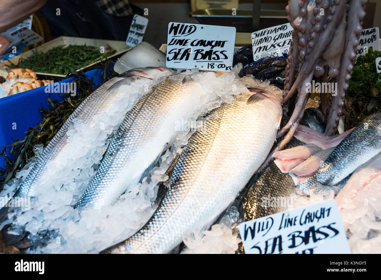 Close-up di spigola in un pescivendolo stallo a Borough Market, London, SE1, Regno Unito Foto Stock