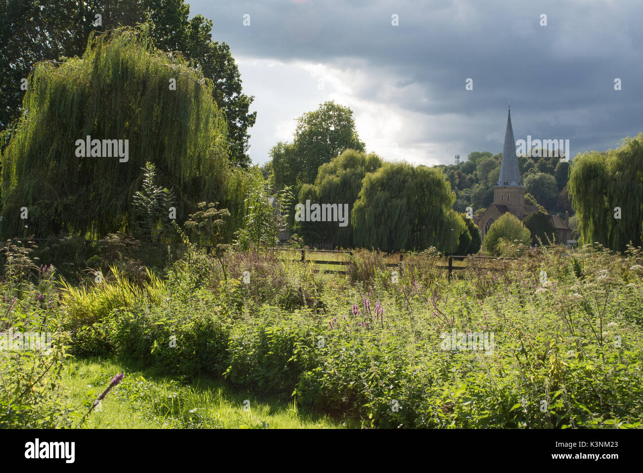 Chiesa di San Pietro e di San Paolo a Godalming, Surrey, Regno Unito dalla Phillips Memorial Park Foto Stock