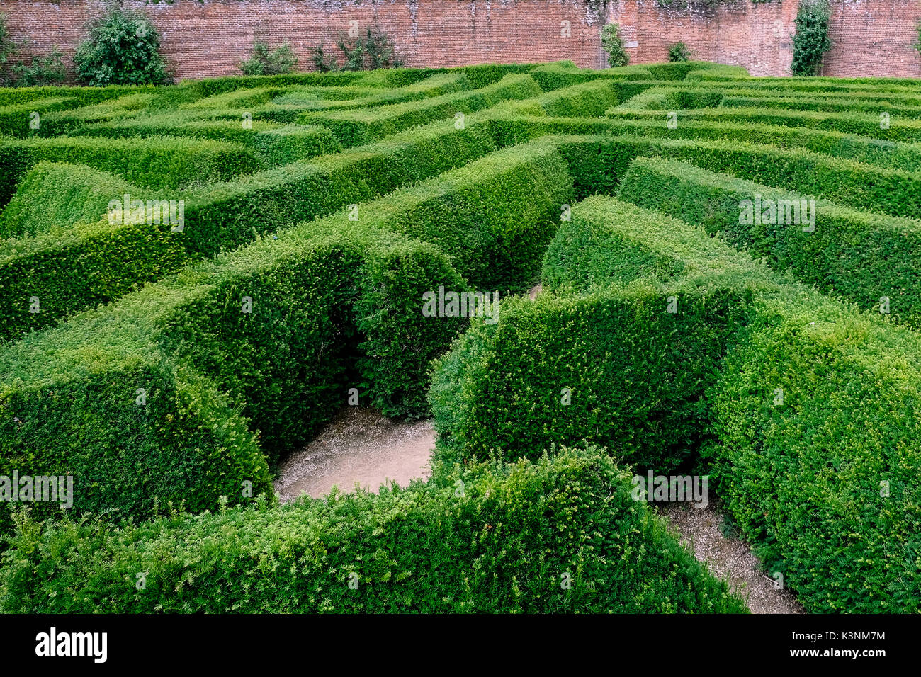 Labirinto di siepi Foto Stock