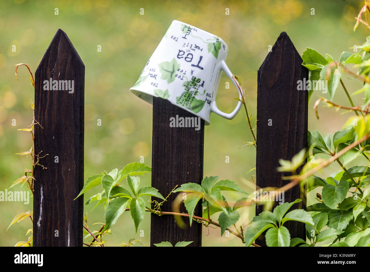 Tazza di tè in ceramica appesa alla recinzione del giardino in legno, al giardino della recinzione in legno della Repubblica Ceca Foto Stock