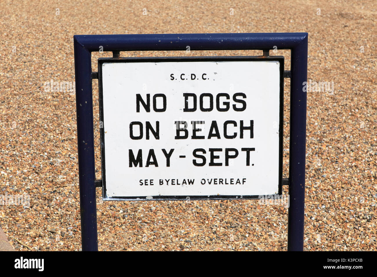 No cani sulla spiaggia mare segno Felixstowe, Suffolk, Inghilterra, Regno Unito Foto Stock