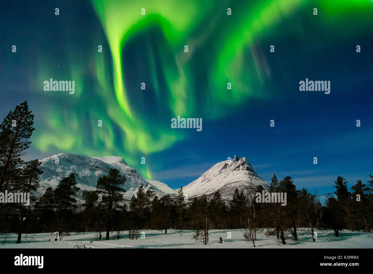 Le luci del nord alluminato sopra le cime della montagna presso "l'angolo Kick " Isole Lofoten in Norvegia Foto Stock