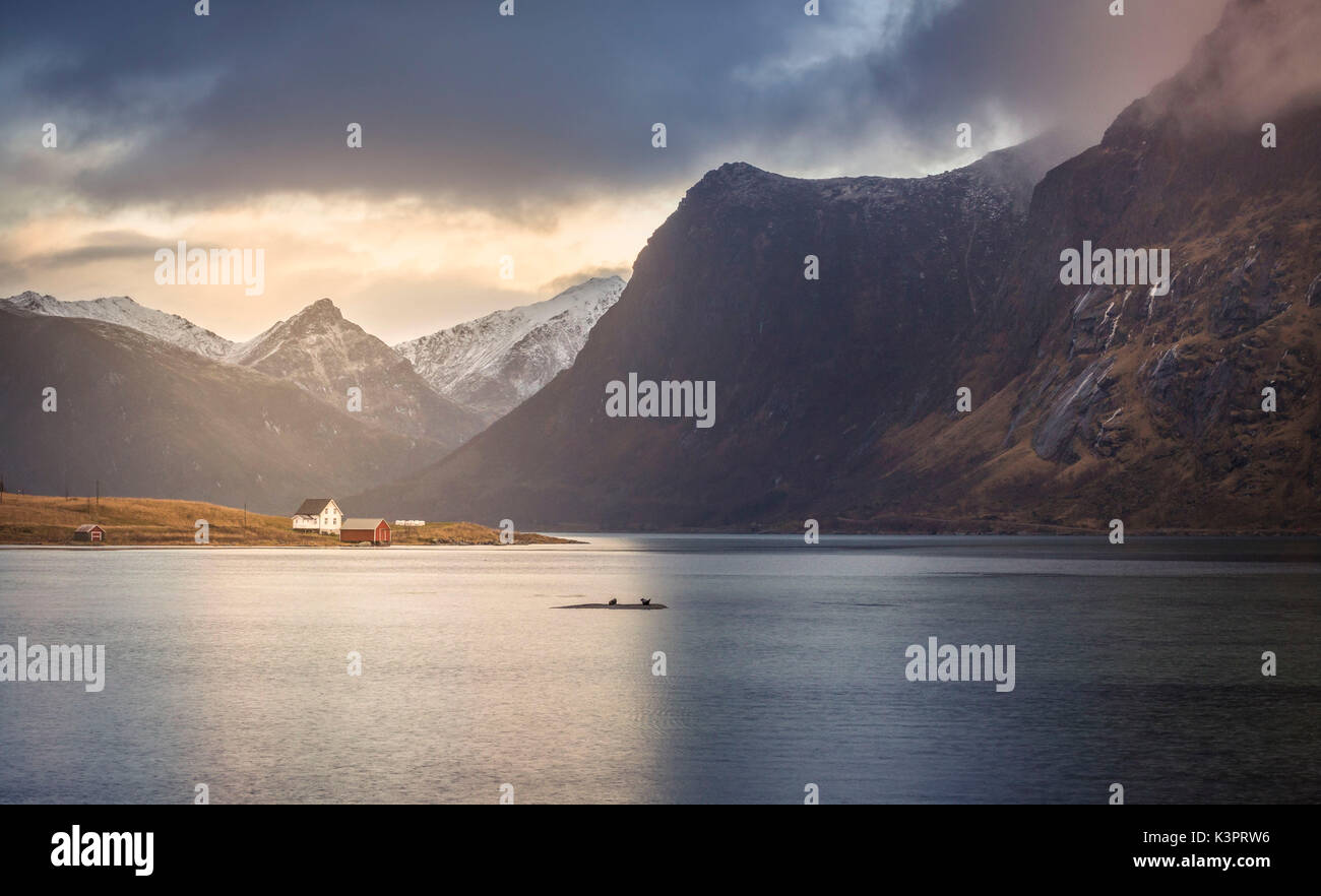 Isole Lofoten paesaggio, Isole Lofoten in Norvegia Foto Stock