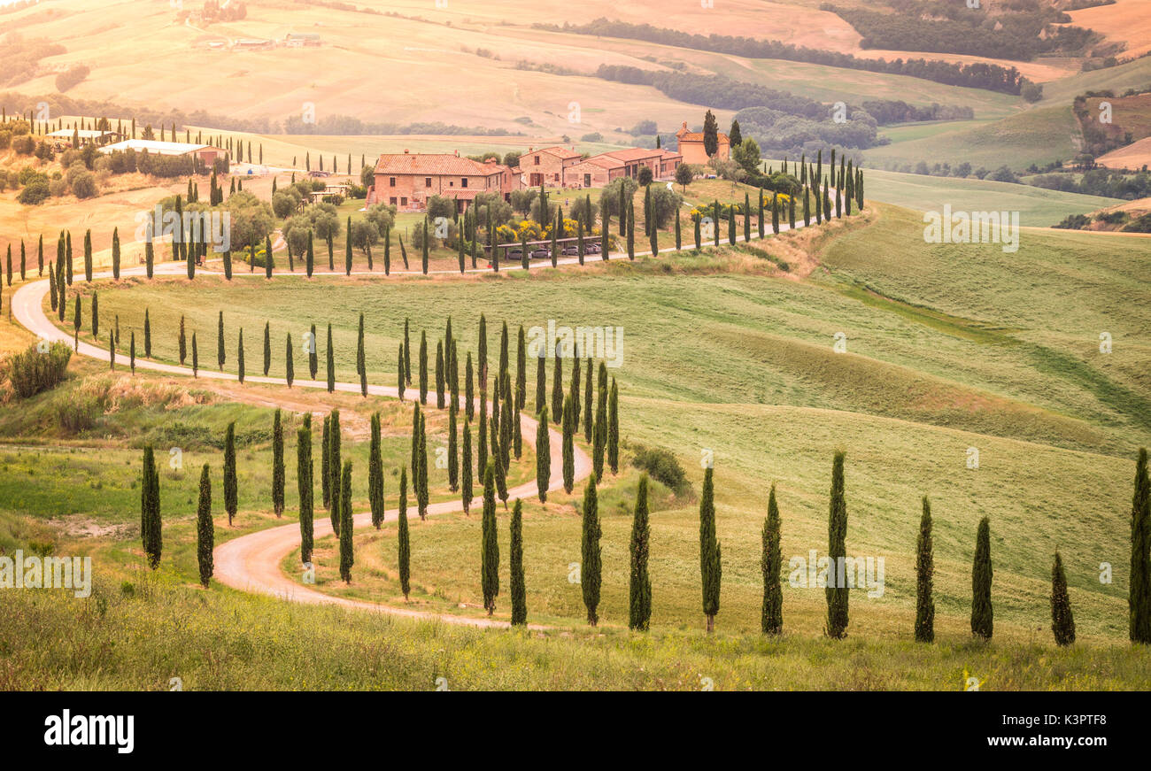 Val d'Orcia, Toscana, Italia Foto Stock