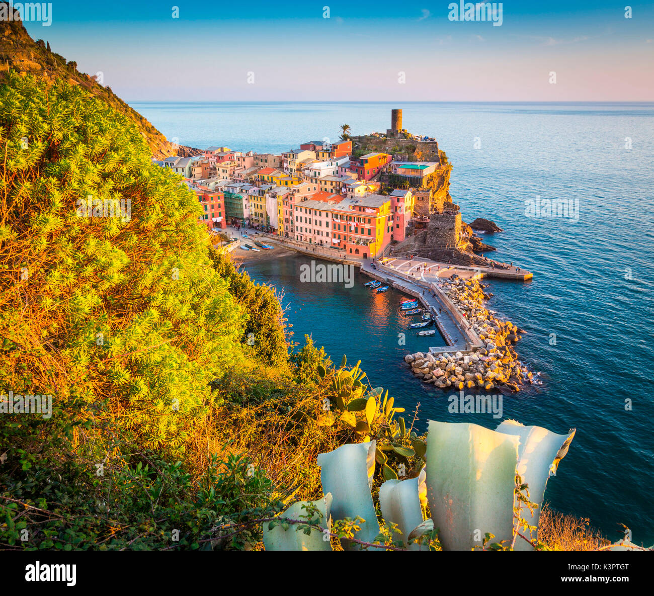 Vernazza, il Parco Nazionale delle Cinque Terre, Liguria, Italia Foto Stock