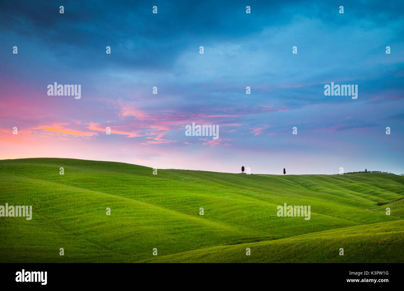 Pienza, Toscana, Italia. Tramonto sulle colline e i cipressi. Foto Stock