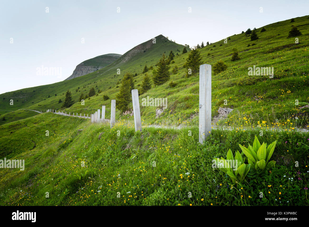 Monte Peller, Trentino Alto Adige, Italia Foto Stock